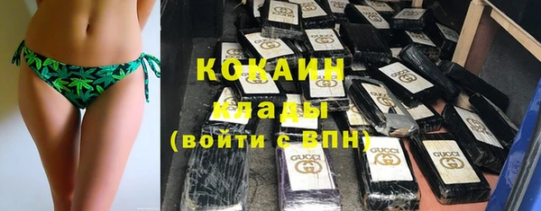 PSILOCYBIN Богородицк